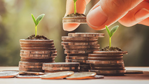 Trust Capital